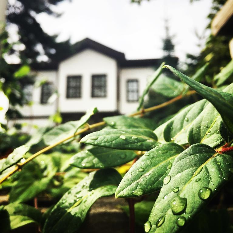 Huma Hatun Konaklari Hotel Safranbolu Extérieur photo